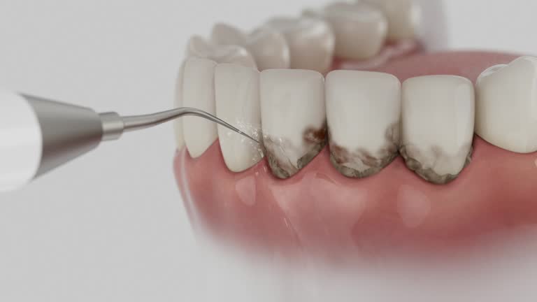 Reliable Dental contractor in Neshanic Station, NJ by Dentist Open Now